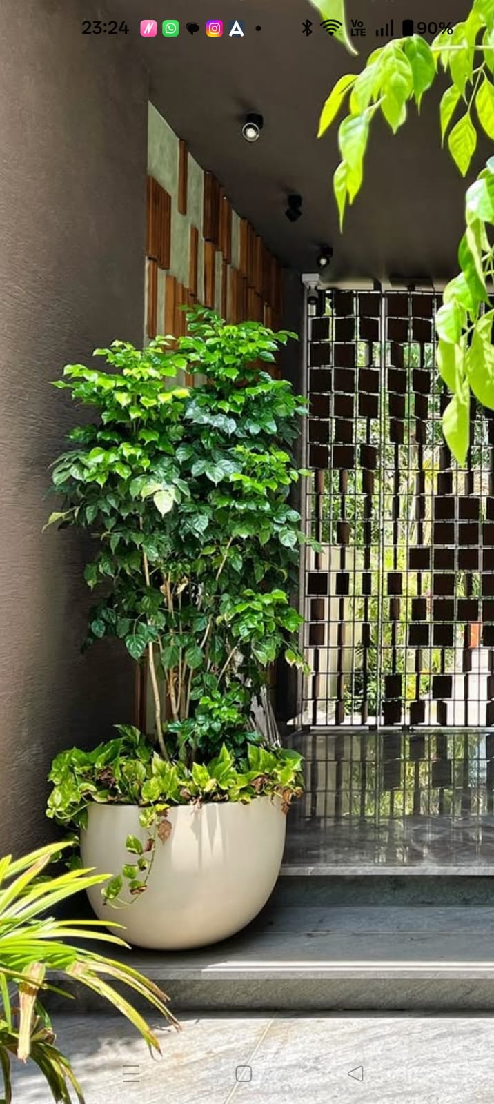 Modern Facade Bowl Planter - Entrances by Emerald Livings Studio