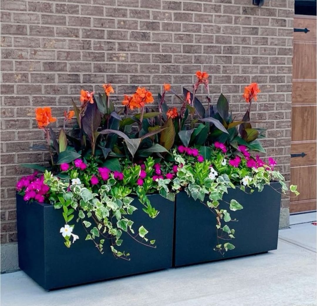 Bloom Cube Arrangement - Planters by Emerald Livings Studio
