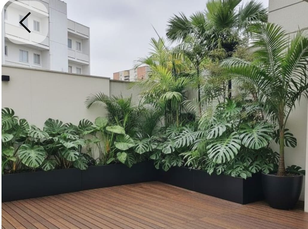 Tropical Rooftop Terrace - Terraces by Emerald Livings Studio