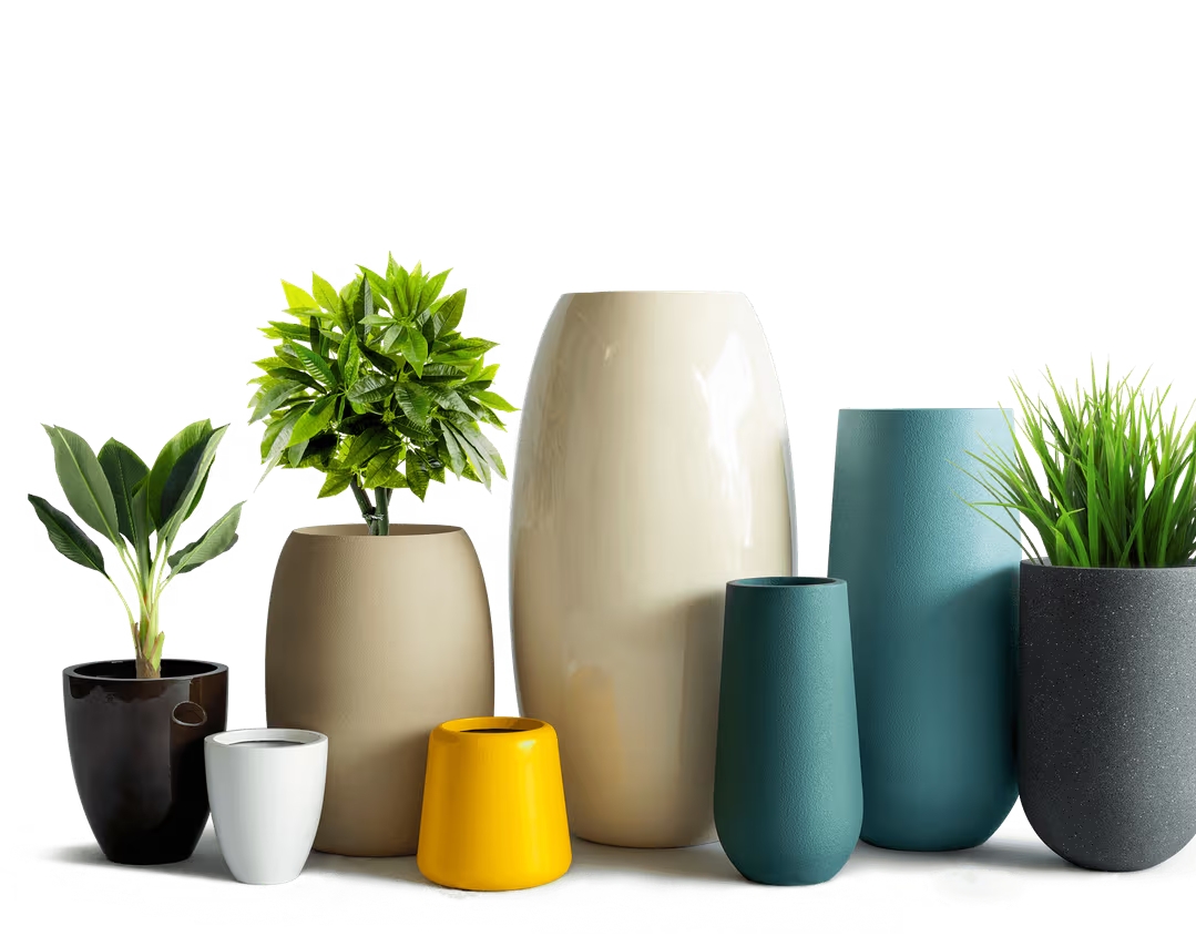 The Curated Vase Collection - Vases by Emerald Livings Studio